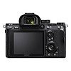 Nơi bán Máy Ảnh Sony Alpha A7 Mark III Body (24.2MP) - Đen