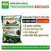 Combo 1 gói chế phẩm em gốc và 1kg nấm đối kháng trichoderma tribac. ủ - ảnh sản phẩm 6