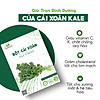 Bột cải xoăn kale nguyên chất goce - 60g 20 gói x 3g - ảnh sản phẩm 3