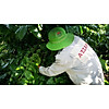 Azzan blend arabica & robusta 250g- cà phê đặc sản - ảnh sản phẩm 8