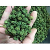 product-image-undefined