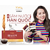 Nước chiết xuất nhân sâm hàn quốc yhl - ảnh sản phẩm 3