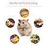 Thức ăn ngũ cốc hỗn hợp cho hamster 150gr rau củ quả tăng cường dinh dưỡng - ảnh sản phẩm 4