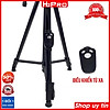 Nơi bán Giá đỡ điện thoại 3 chân Tripod 3388 H2Pro đa năng, giá đỡ 3 chân cho điện thoại có điều khiển từ xa, cao 1.4m