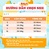 Quần chip đùi cotton cho bé gái 2-12 tuổi hình công chúa lung linh – C007