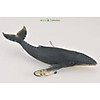 Mô hình thu nhỏ cá voi lưng gù - humpback whale, hiệu collecta - ảnh sản phẩm 3