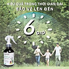 Bình xịt phòng tinh dầu sả chanh, oải hương, bạc hà đuổi muỗi, côn trùng - ảnh sản phẩm 4