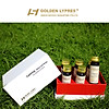 Golden lypres calming. sleep and relax fermented enzyme - ảnh sản phẩm 2