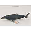 Mô hình thu nhỏ cá voi lưng gù - humpback whale, hiệu collecta - ảnh sản phẩm 5