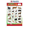product-image-undefined