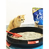 Cát vệ sinh cho mèo - clean cat 8l  6kg - ảnh sản phẩm 3