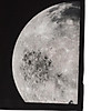 Áo polo myo to the moon - ảnh sản phẩm 5
