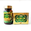 Cà gai leo gold tex giúp giải độc tăng cường chức năng gan chai 50 viên - ảnh sản phẩm 3