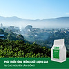 Cà phê arabica blend, cà phê nguyên chất 100% rang mộc, gói 250gr - ảnh sản phẩm 7