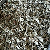 product-image-undefined