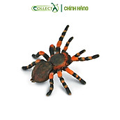 Mô hình thu nhỏ Nhện Gối Đỏ - Mexican Redknee Tarantula, hiệu CollectA