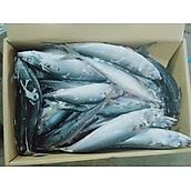 Cá Saba Nhật NK đông lạnh - 1,000Gr - Phát Đạt