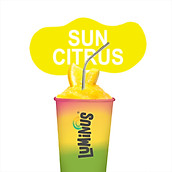 [Chỉ giao HCM] Sun Citrus Smoothies - 500ml