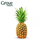 Dứa MD2 GF_1Trái Pineapple