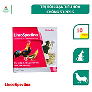 Vemedim LincoSpectina trị nhiễm trùng đường hô hấp và tiêu hóa cho cho chim