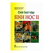 Giải Bài Tập Sinh Học Lớp 11