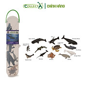 Bộ hình thu nhỏ Động Vật Biển 2 - CollectA Box of Mini Sea Animals-2