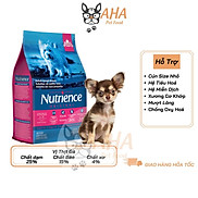 Thức Ăn Cho Chó Chihuahua Nutrience Original Bao 500g Dầu Cá Hồi