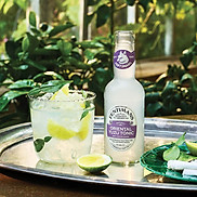 Fentimans Tonic Vị Chanh Yuzu Anh Quốc