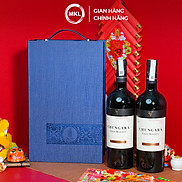 COMBO 2 Rượu Vang Đỏ San Vicente Chungará Cabernet Sauvignon Gran Reserva