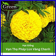 Hạt Giống Hoa Vạn Thọ Pháp Lùn F1 Vàng Chanh