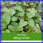 Hạt Giống Rau Mồng Tơi Đỏ Nảy Mầm Tốt