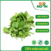 Chỉ Giao HCM - Húng Lủi Hữu Cơ Gói 50g