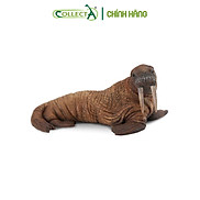 Mô hình thu nhỏ Voi Biển - Walrus , hiệu CollectA, mã HS 9652110