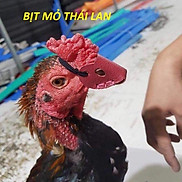 MỘT ĐÔI BỊT MỎ GÀ CHỌI