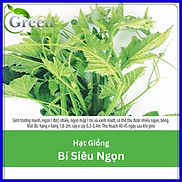 Hạt Giống Bí Siêu Ngọn F1