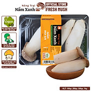 HCM Nấm Đùi Gà Nấm Lớn 500gr Ngon Sạch - Nông Trại Nấm Xanh