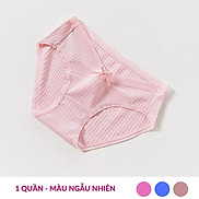 Quần lót bầu cotton cạp chéo imom care, kháng khuẩn, khử mùi