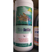 bacillus men vi sinh sống