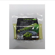 Wasabi mù tạt tươi đông lạnh 3N 200g 20g x 10