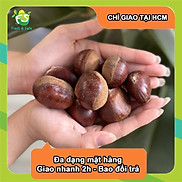 CHỈ GIAO HCM Hạt dẻ tươi - 1kg