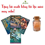 Kèm quà tặng Bài Oracle Spirit Of The Animal 52 Lá Tiên Tri Cao Cấp