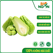 Chỉ Giao HCM - Trái Su Su 450-550g vỉ