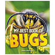 My Best Book of Bugs