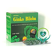 Viên uống Ginkgo Biloba 120mg Vinapharco , hộp 100v