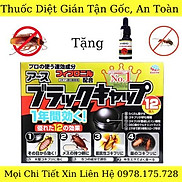 Thuốc Diệt Gián Nhật Bản Hộp 12 Viên An Toàn Hiệu Quả