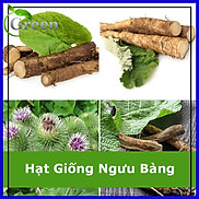 Hạt Giống Ngưu Bàng Thảo Dược