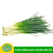 Chỉ Giao HCM - Hành lá hữu cơ Organicfood - 100g