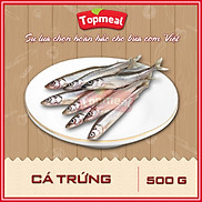 HCM - Cá trứng 500g - Thích hợp với các món nướng, chiên xù, sốt, kho