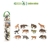 Bộ hình thu nhỏ Động Vật Tiền Sử - CollectA Box of Mini Prehistoric Animals