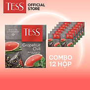 Combo 12 hộp Trà đen Tess Grapefruit Chill vị bưởi và bạc hà 20 gói hộp